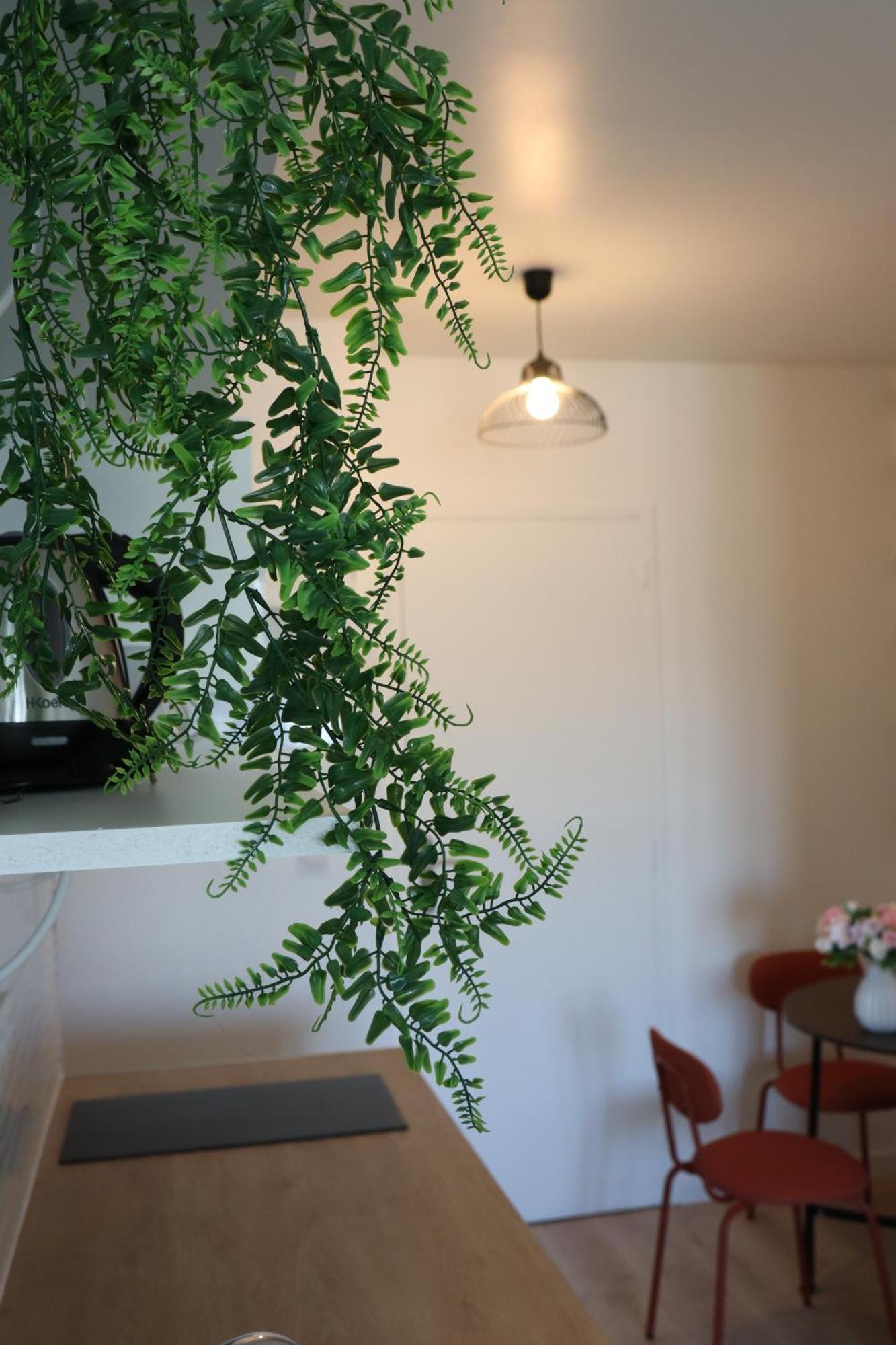 Apartament Lp - 4 Saisons Annecy Zewnętrze zdjęcie