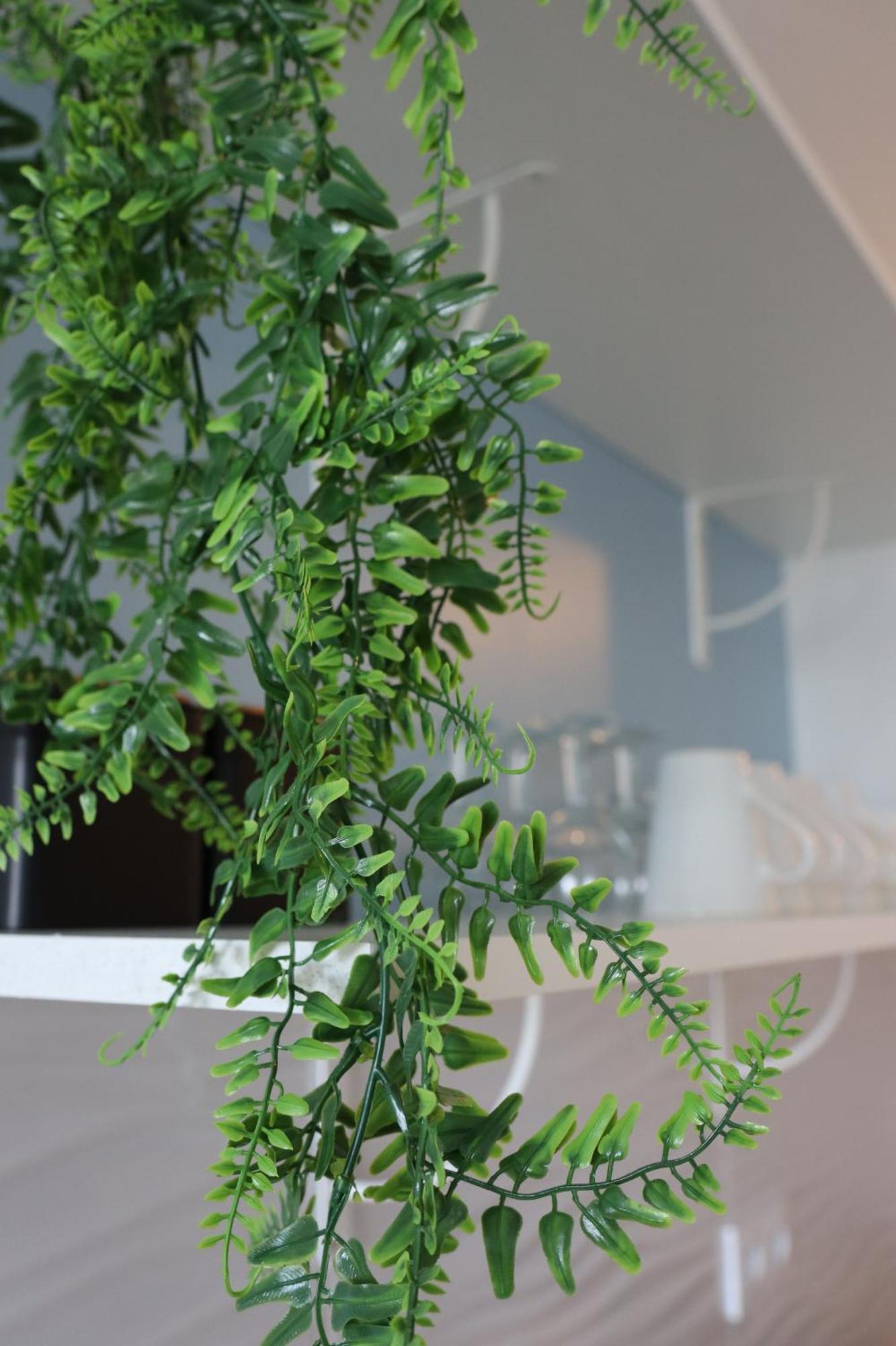 Apartament Lp - 4 Saisons Annecy Zewnętrze zdjęcie